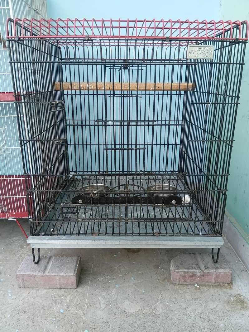 Folding Cage 1