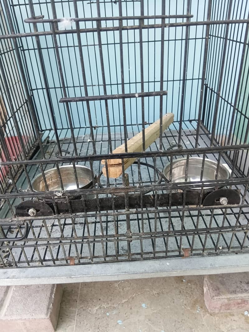 Folding Cage 2