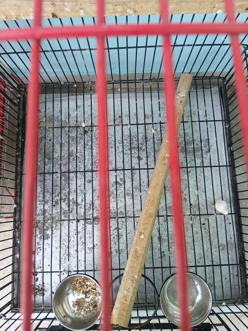 Folding Cage 3