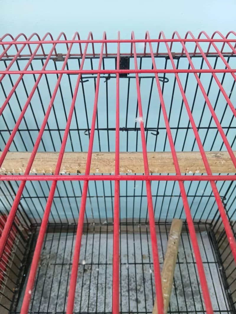 Folding Cage 4