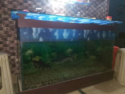 Dining Table + Aquarium Set
