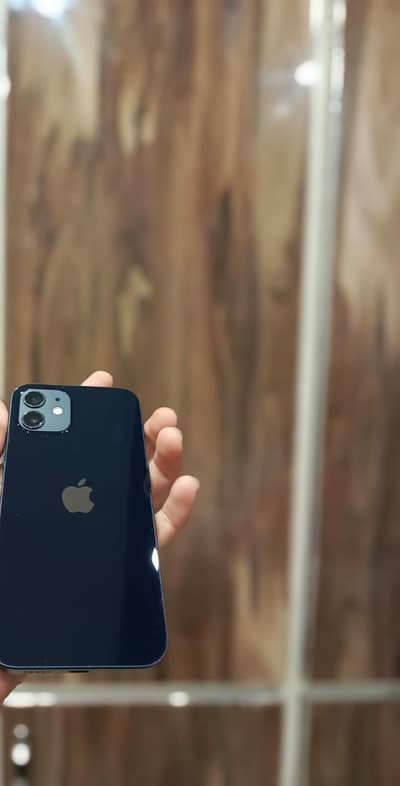 Apple iPhone 12