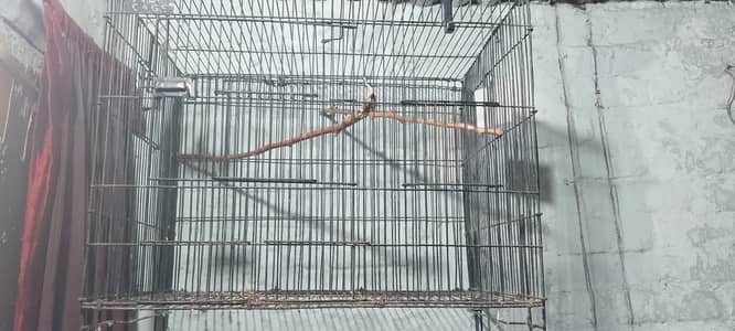 4 iron folding cage