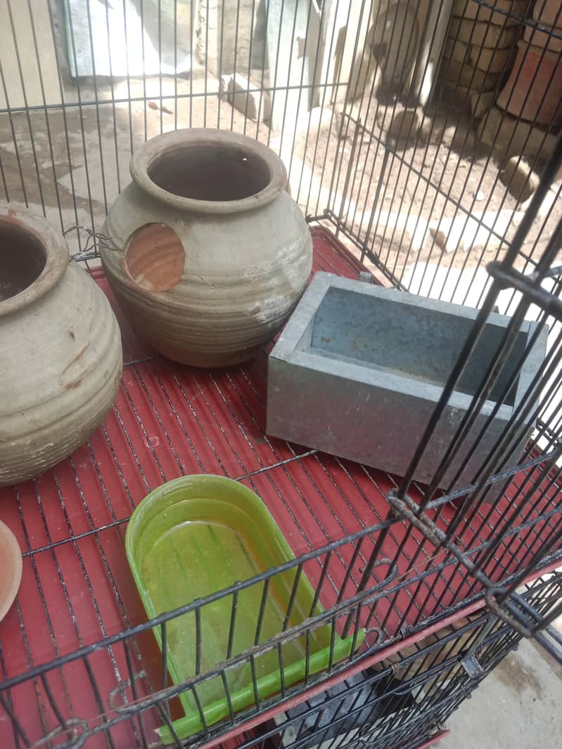 cages 1