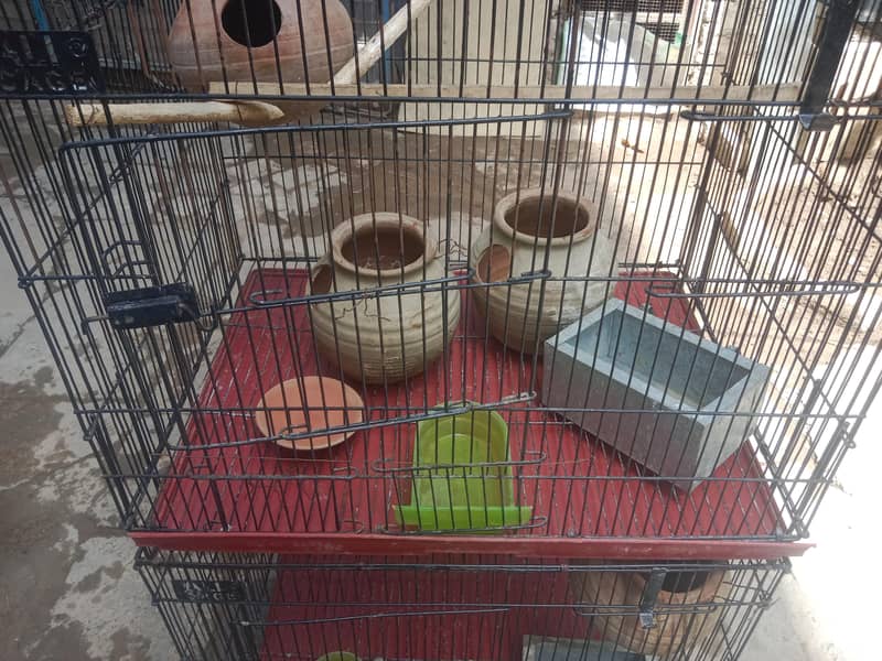 cages 2