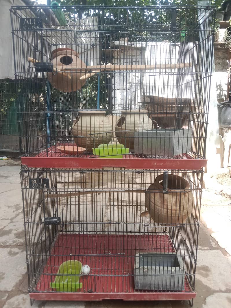 cages 4