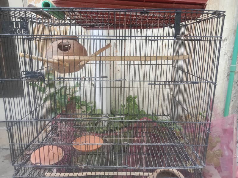 cages 5