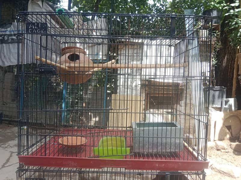 cages 6