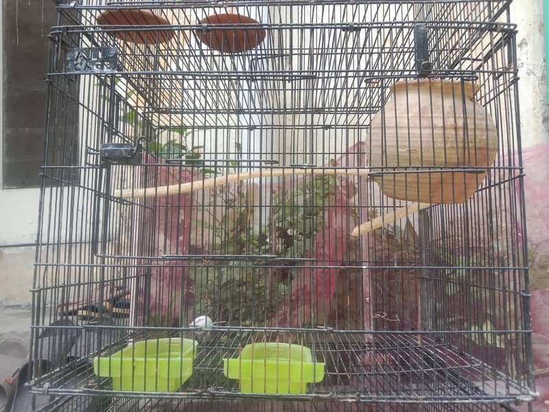 cages 7