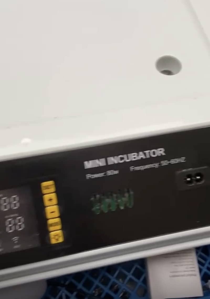 Mini automatic Incubator 3