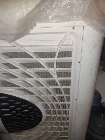 latest cooler