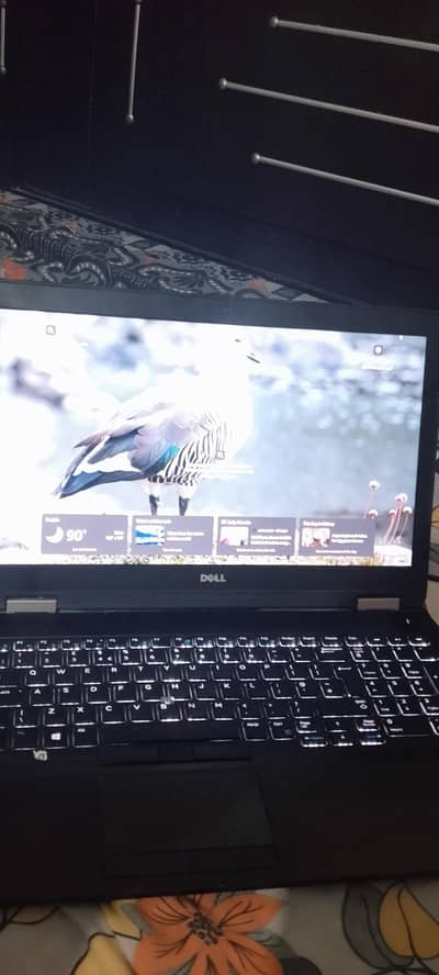 I have used this laptop for 2 to 3 months and it is absolutely amazing