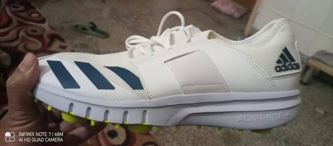 bating and bowling spikes for sale