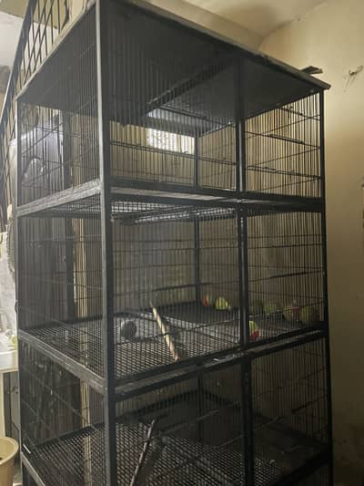 Want to sell parrots iron cage