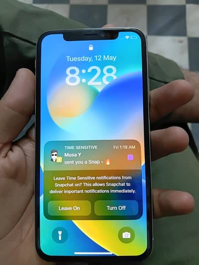 Apple iPhone X