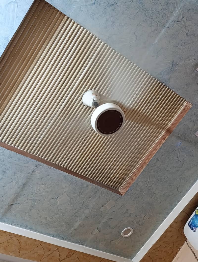 Ceiling Fan 1