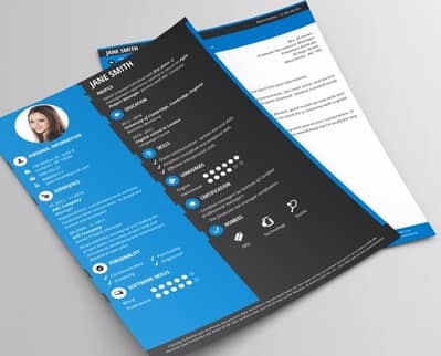 Professional Resume & Infographic