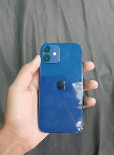 iPhone 12 mini blue colour detail discription