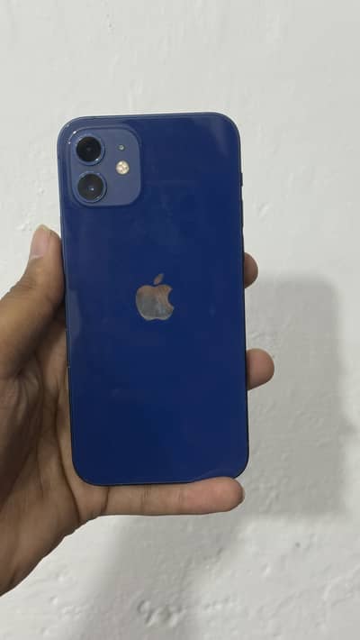 Apple iPhone 12 water pack