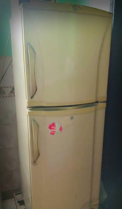 pel fridge for sale