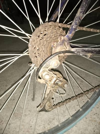 bicycle sport