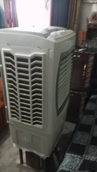 AC/DC cooler