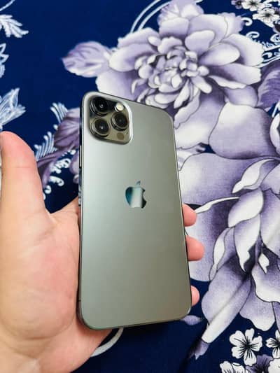 iPhone 12 Pro Max (256Gb)