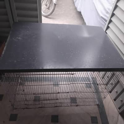 Folding Iron cage