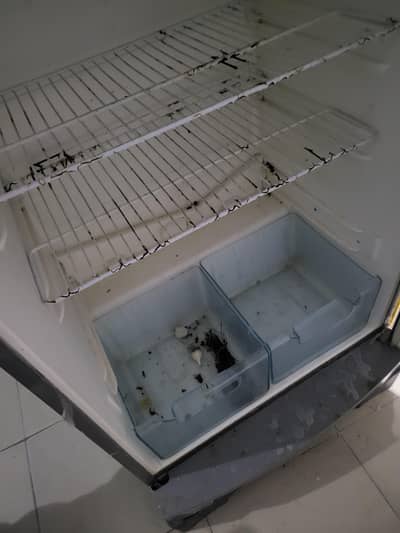 Electrolux DC invinter refrigerator full large size
