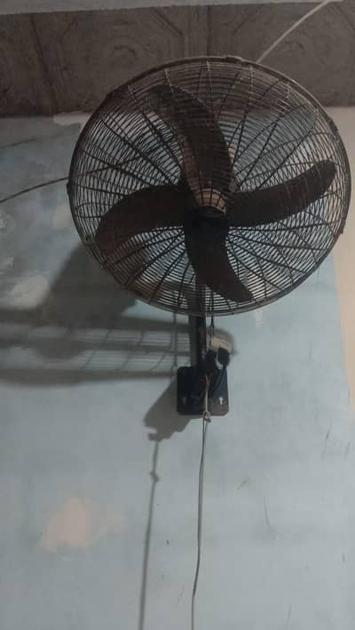 le jaye summers offer