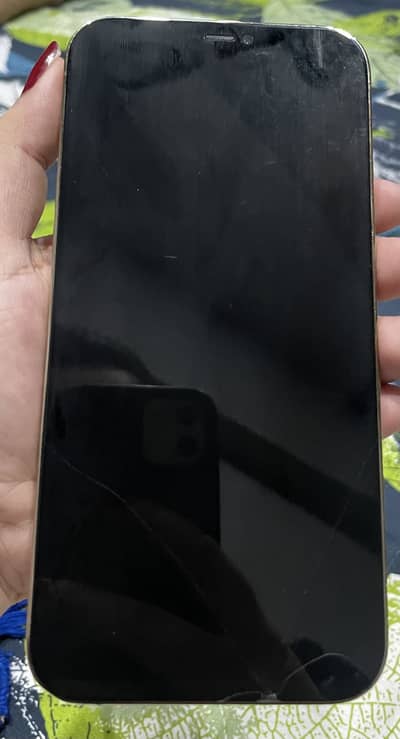 Apple iPhone 12 Pro Max