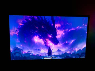 24 Inch Monitor