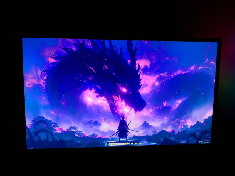 24 inch Monitor 0