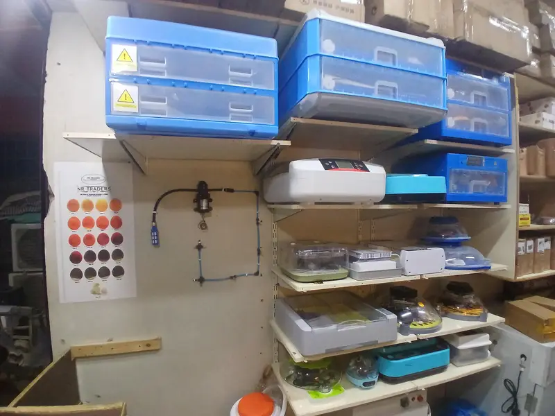 Eggs Incubator Hatching Machines, Brooders & Other Poultry Accessories — photo 2