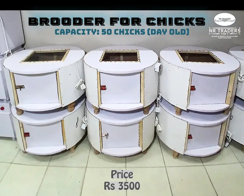 Eggs Incubator Hatching Machines, Brooders & Other Poultry Accessories — photo 4