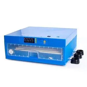 Eggs Incubator Hatching Machines, Brooders & Other Poultry Accessories — photo 9