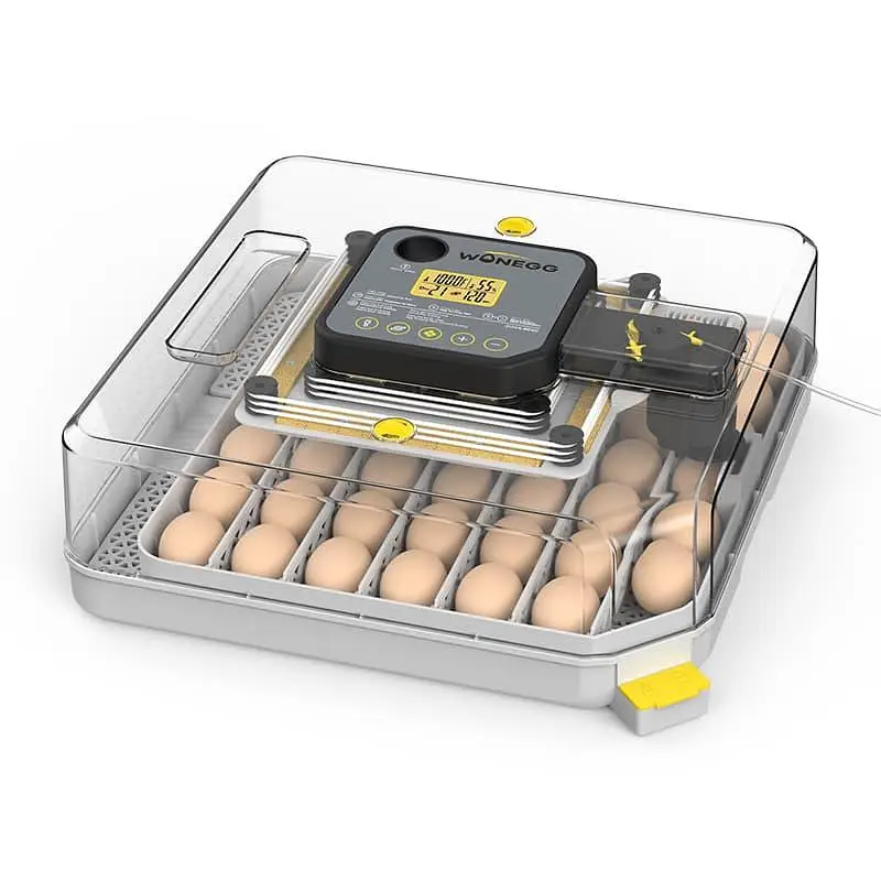 Eggs Incubator Hatching Machines, Brooders & Other Poultry Accessories — photo 11