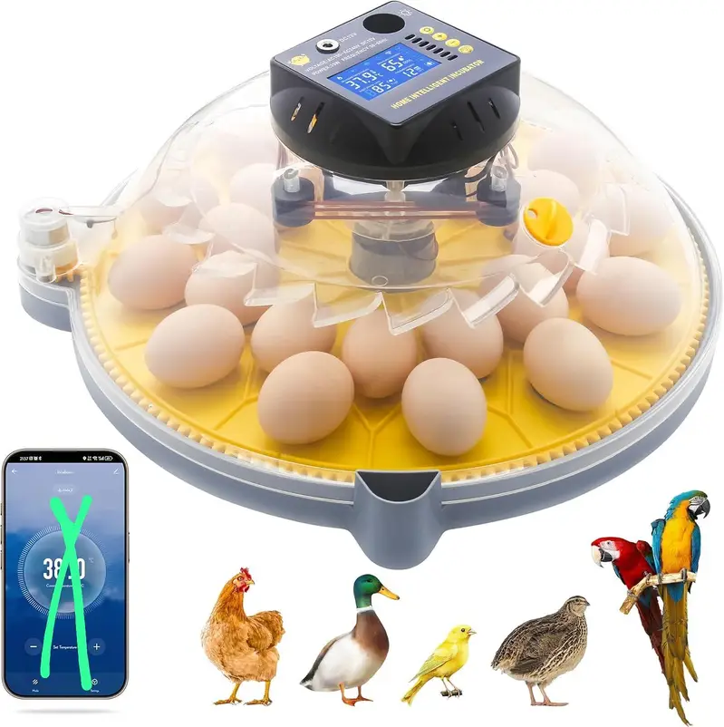 Eggs Incubator Hatching Machines, Brooders & Other Poultry Accessories — photo 12