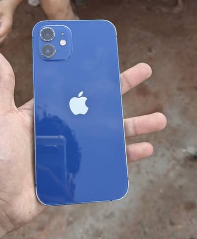 Apple iPhone 12