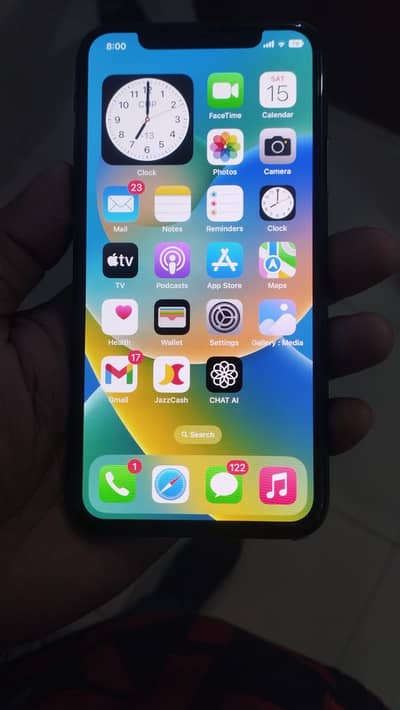 Apple iPhone X