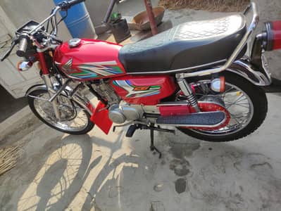 Hondo 125 paper later clear condition vip