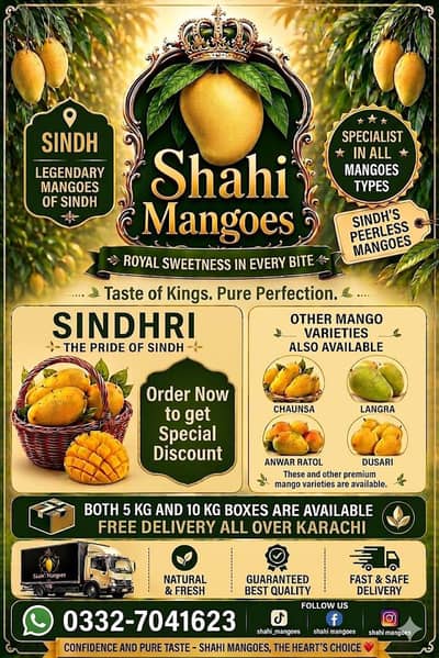 Mangoes Available  Best Quality