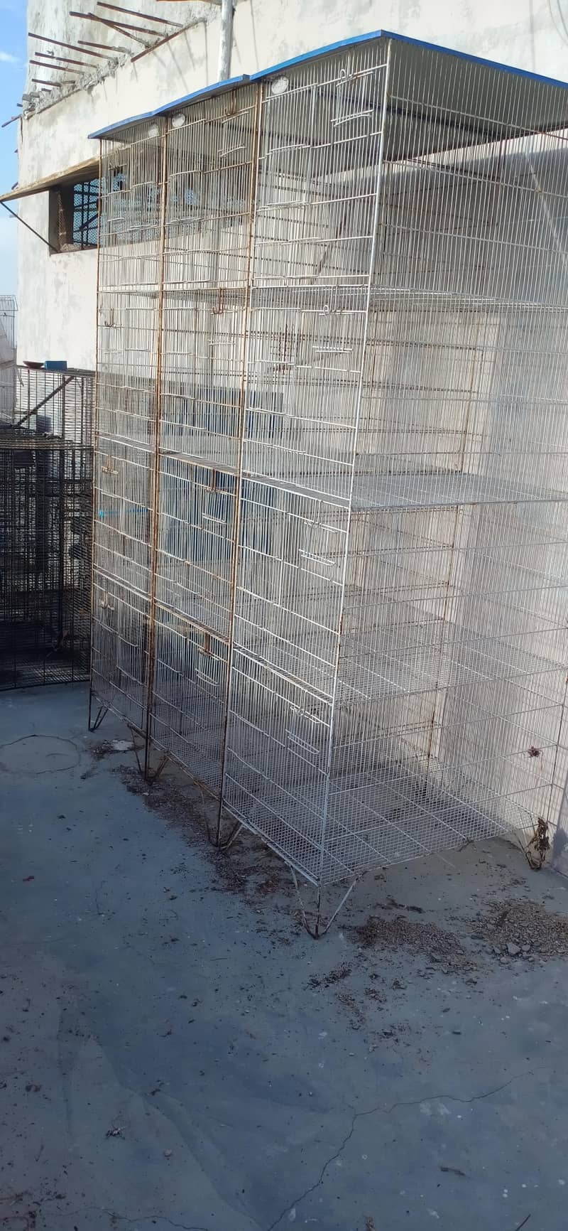 Cages 1