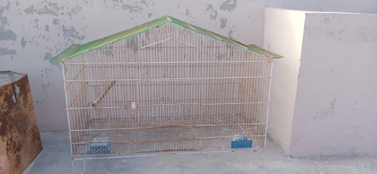 Cages 4