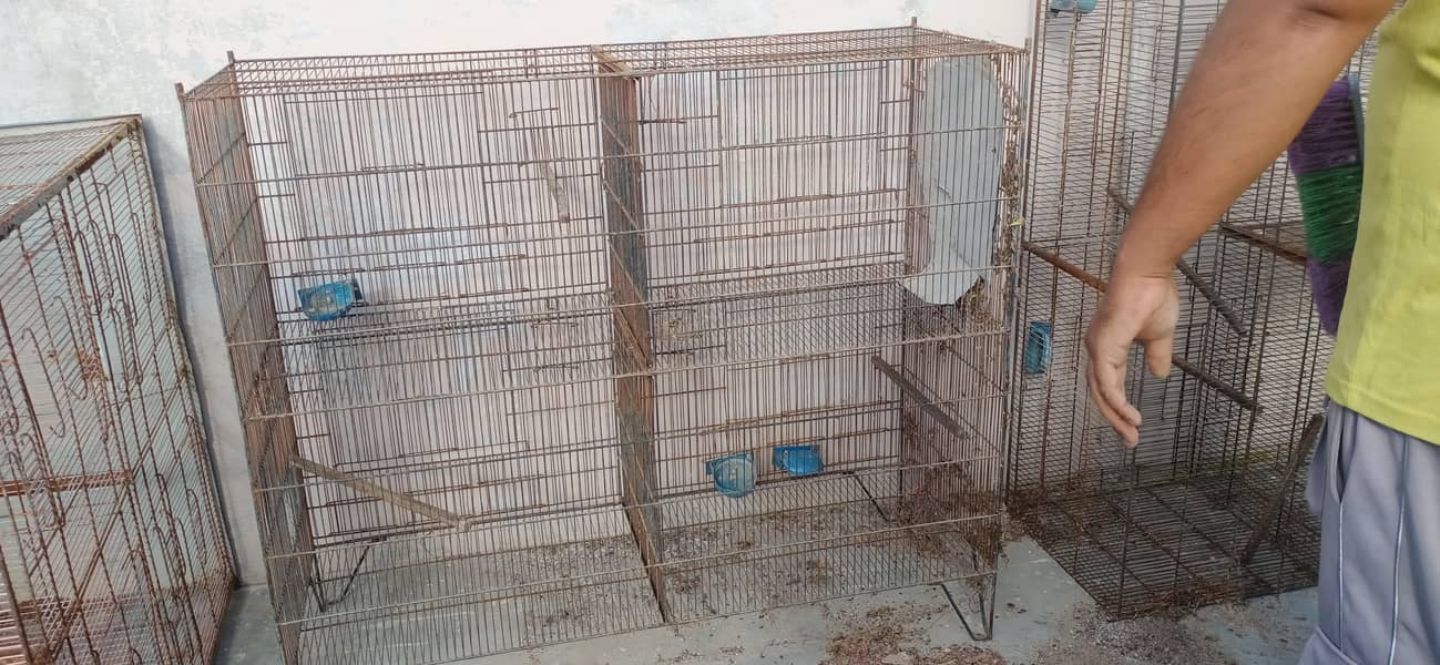 Cages 5