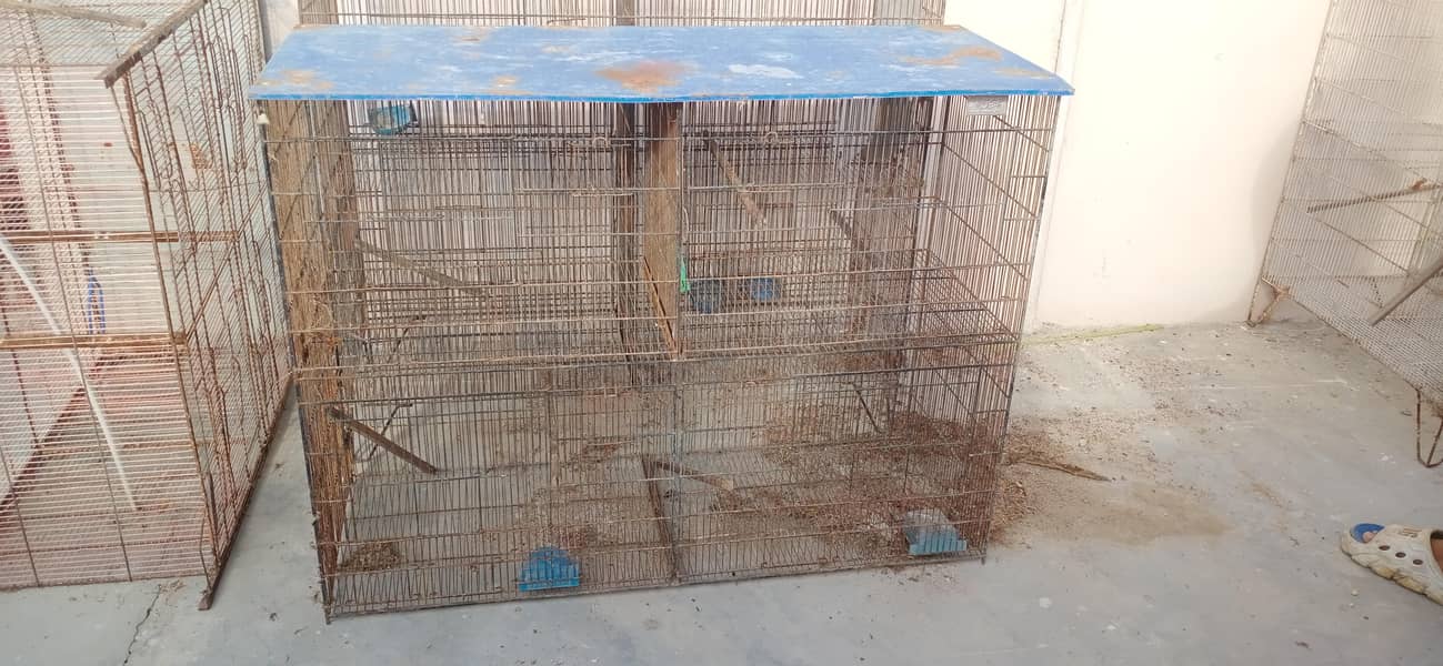 Cages 6