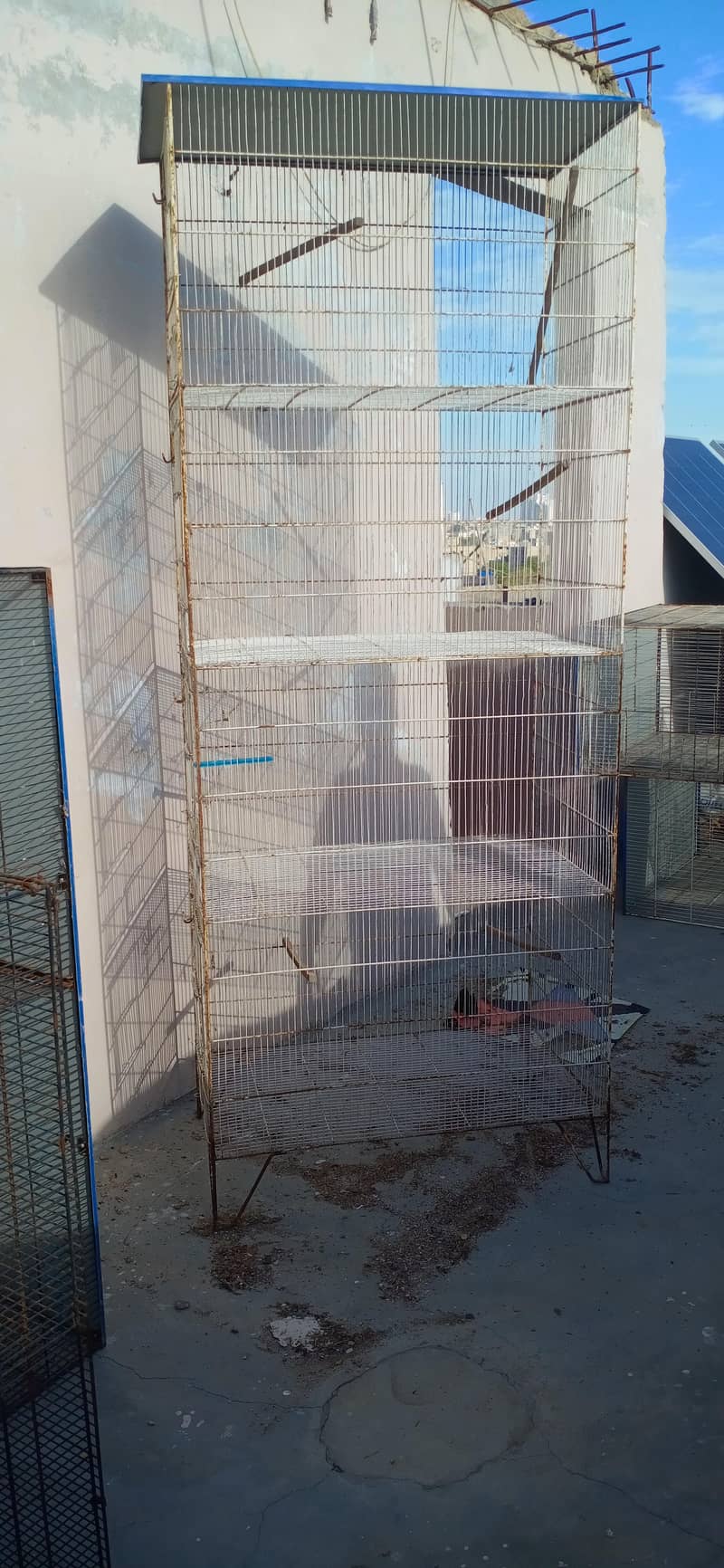 Cages 7