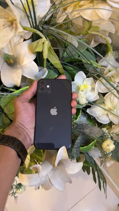 Apple iPhone 11