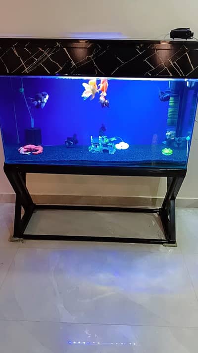 4 ft aquarium good as new