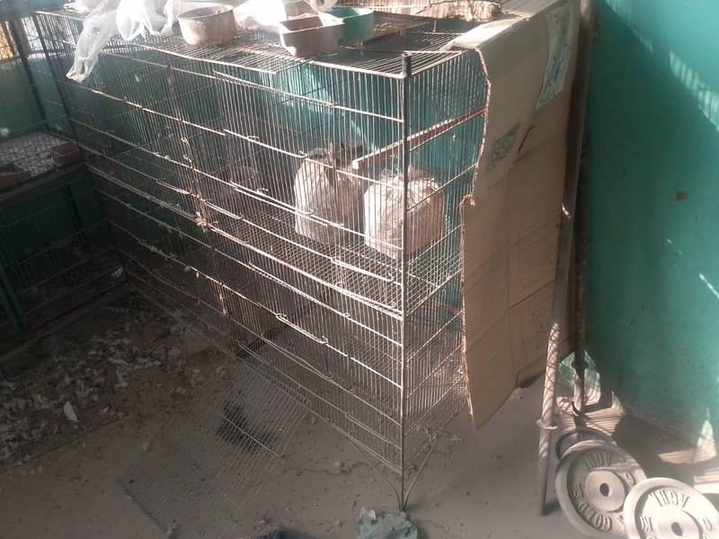 cages 2